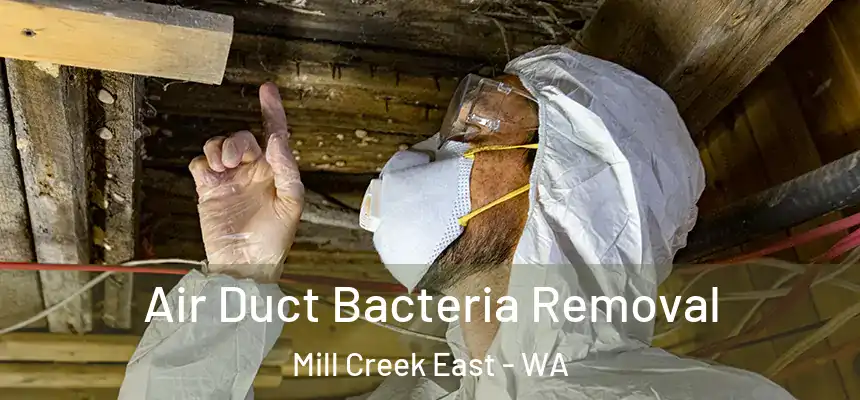  Air Duct Bacteria Removal Mill Creek East - WA
