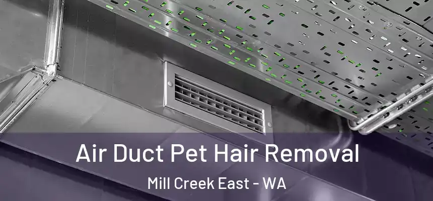  Air Duct Pet Hair Removal Mill Creek East - WA