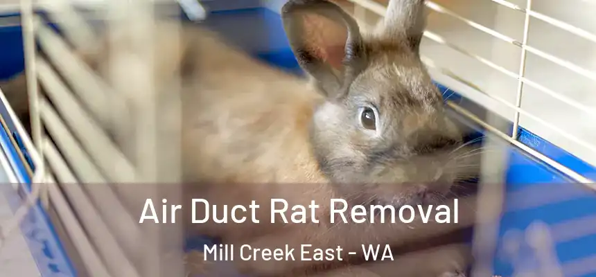  Air Duct Rat Removal Mill Creek East - WA