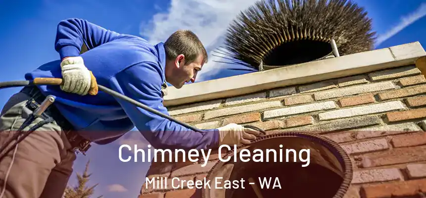  Chimney Cleaning Mill Creek East - WA