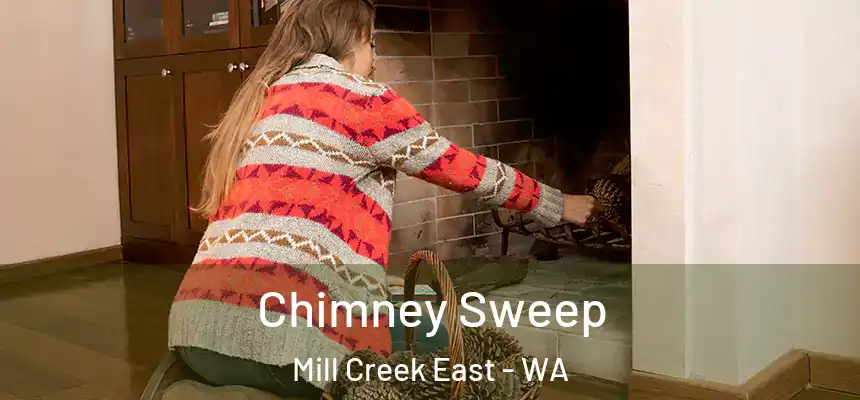  Chimney Sweep Mill Creek East - WA
