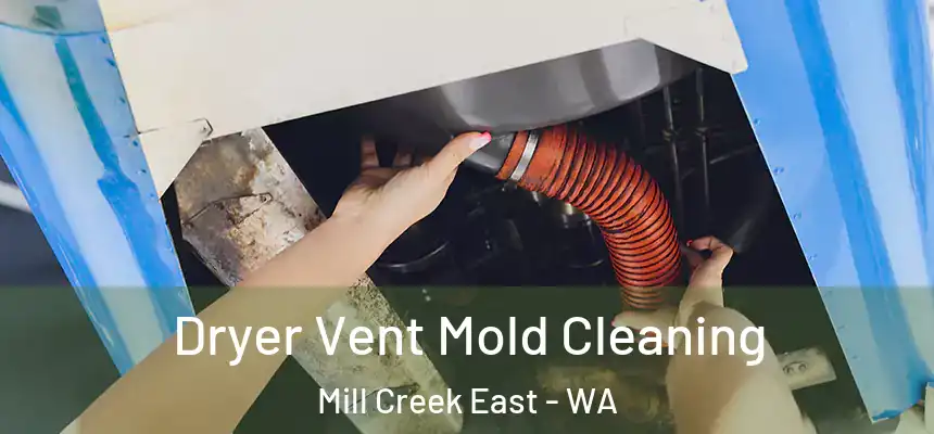  Dryer Vent Mold Cleaning Mill Creek East - WA