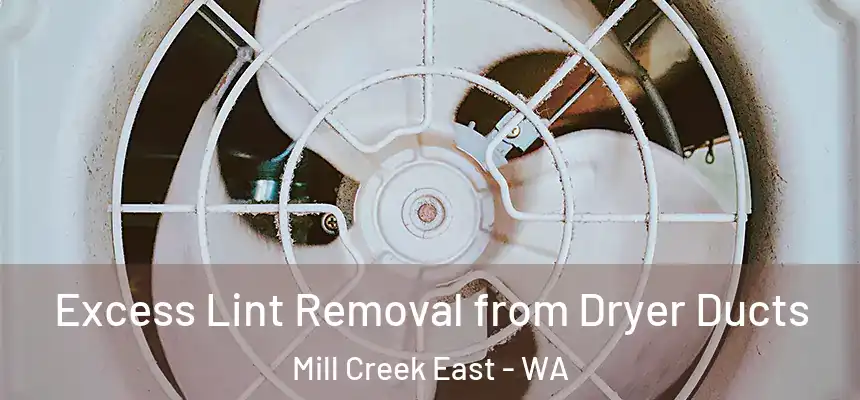  Excess Lint Removal from Dryer Ducts Mill Creek East - WA