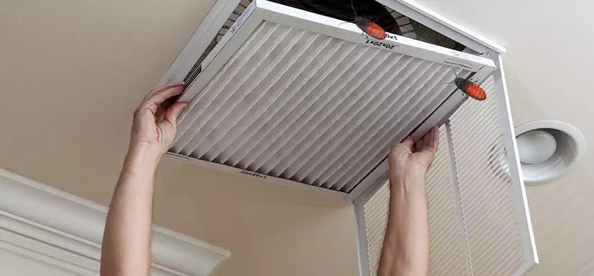 Preventive Cockroach-Proofing for Ducts in Mill Creek East