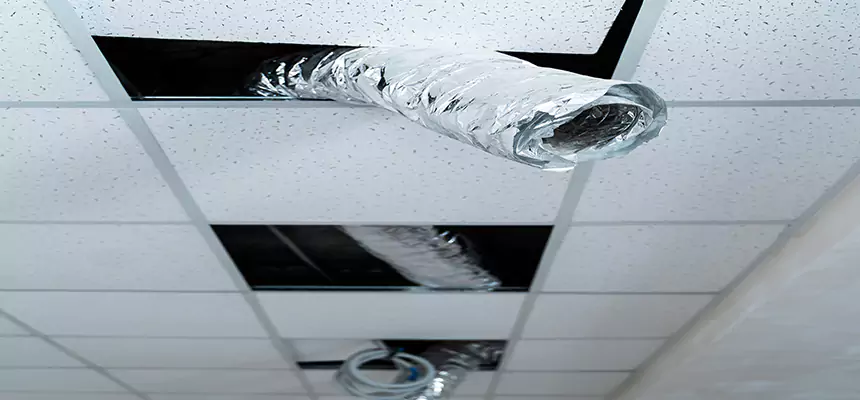 Affordable HVAC Sanitizing After Pest Removal in Mill Creek East