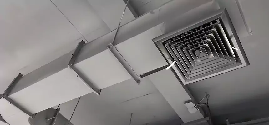 Restorative Allergy Relief Vent Cleaning – Coil, Blower & Housing Detail in Mill Creek East