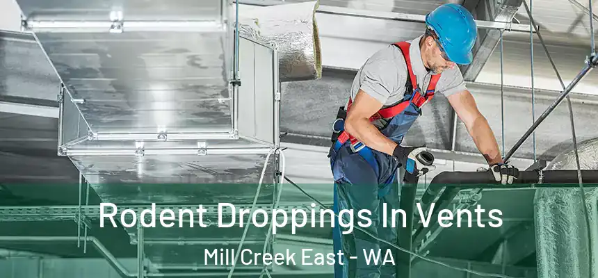 Rodent Droppings In Vents Mill Creek East - WA