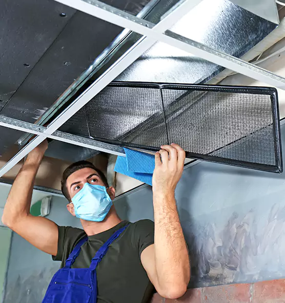 About Air Duct Bacteria Removal in Mill Creek East