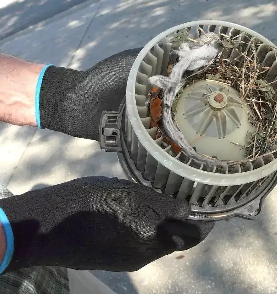 About Air Duct Mice Removal in Mill Creek East, WA