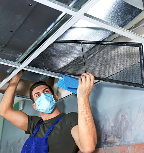 Professional Air Duct Pollen Cleaning in Mill Creek East, WA