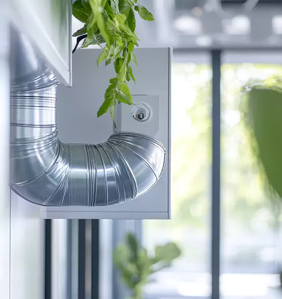 Professional Eco-Safe Dryer Vent Cleaning in Mill Creek East, WA