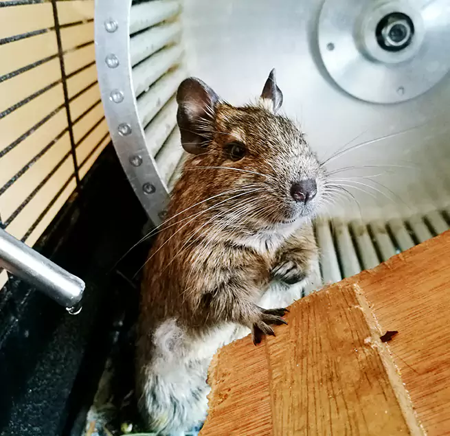 Why Homeowners & Businesses Trust Us Mill Creek East, WA