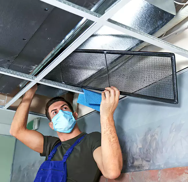 Why Homeowners Businesses Trust Us in Mill Creek East, WA