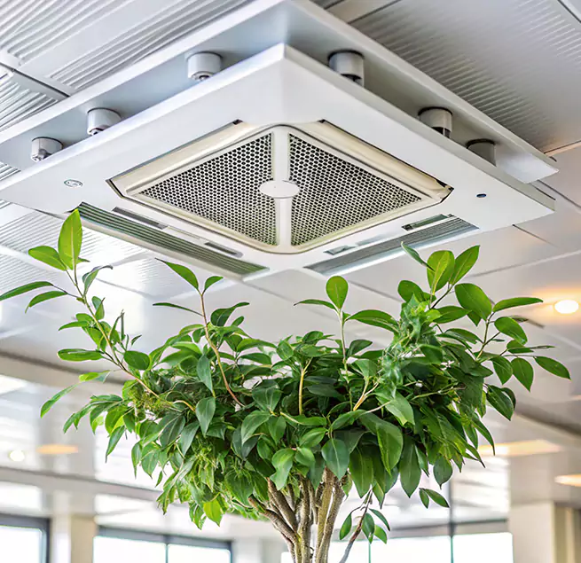 Why Homeowners & Businesses Trust Us in Mill Creek East, WA?