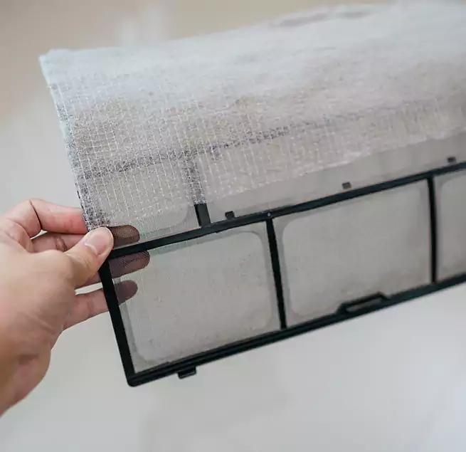 Why Homeowners & Businesses Trust Us in Mill Creek East, WA?